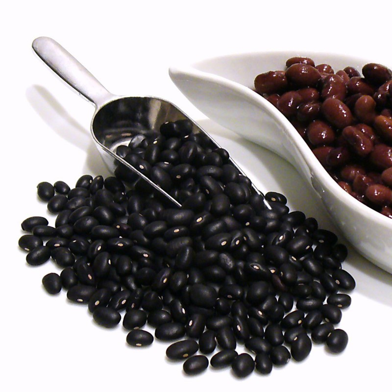 Price: €1.55 - Semillas de FRIJOL NEGRO - 