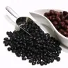 BLACK TURTLE BEAN Seeds