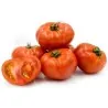 Semințe organice de roșii Heirloom pentru friptură de vită