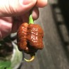 Sementes de Pimenta Carolina Reaper (vermelha, marrom, amarela)