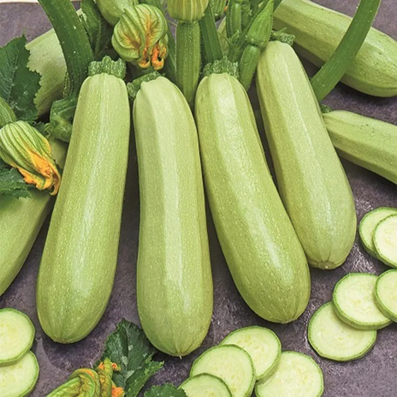Σπόροι Κολοκυθάκια Λευκό Σικελία