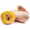 Price: €1.95 - Jättepumpa - Squash Fröer Jumbo Pink Banana - Seeds Gallery