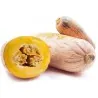 Semi di zucca Jumbo Rosa Banana