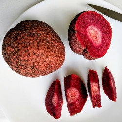 Price: €2.15 - Afrikanische Pfirsichsamen (Nauclea latifolia) - 