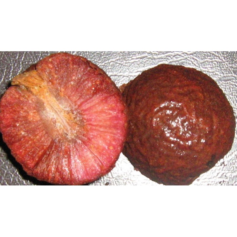 Price: €2.15 - African Peach Seeds (Nauclea latifolia) - 