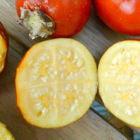 Price: €2.25 - Semințe de mănașă Fuzzyfruit (Solanum candidum) -