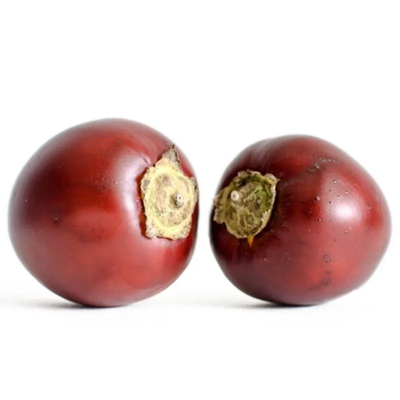 Seminte Small Red Cocona (Solanum sessiliflorum)