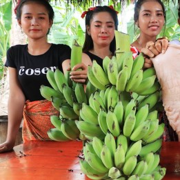 Nasiona bananowca włochatego Bornean (Musa hirta) - 3.825