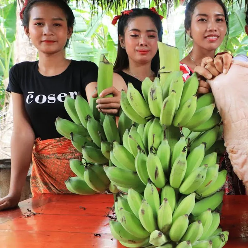 Semeno Bornean chlupaté banánu (Musa hirta)