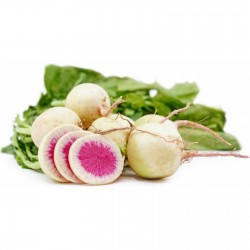 Price: €1.95 - Sementes de Rabanete Melancia - Seeds Gallery