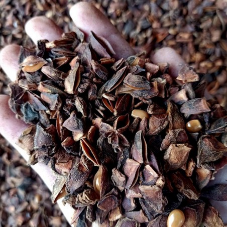 Price: €2.75 - Zvezdasti anis zacin izlomljen -