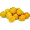Σπόροι Βραζιλιάνικης Γκουάβας (Psidium guineense)