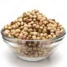 Semillas de Cilantro (Coriandrum Sativum)