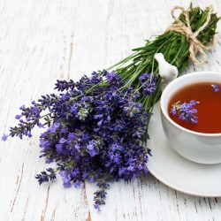 Price: €270 - 1kg Seminte de Isop de gradina (Hyssopus officinalis) - 