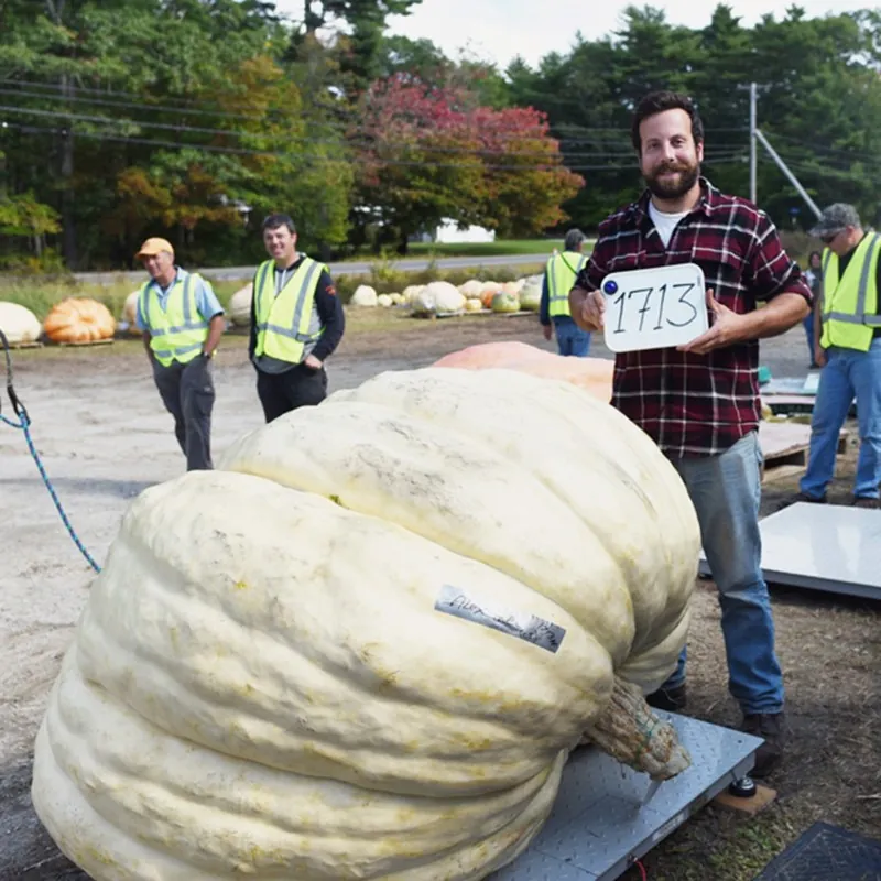 Giant White Pumpkin Seeds LUMNIA