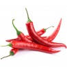 Price: €2.85 - Serbische scharfe Chili Samen Crvena Feferona - Seeds Gallery