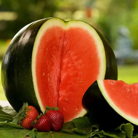 Sugar Baby Watermelon Seeds
