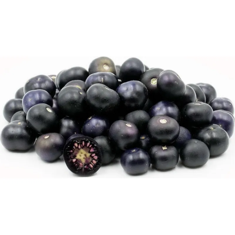 Jaltomato Seeds (Jaltomata Procumbens)