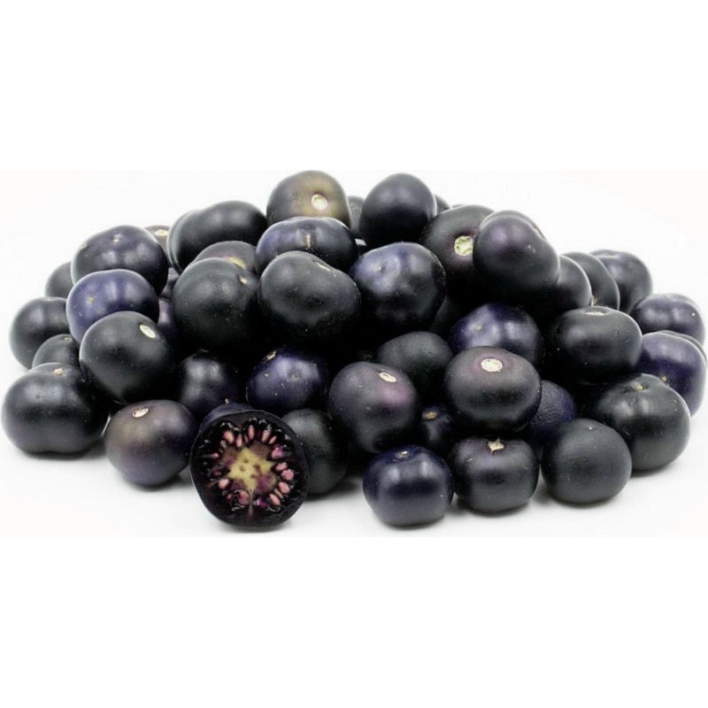 Price: €2.5 - Semillas de Jaltomata procumbens Frutas exóticas - Seeds Gallery