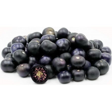 Price: €2.5 - Semillas de Jaltomata procumbens Frutas exóticas - Seeds Gallery