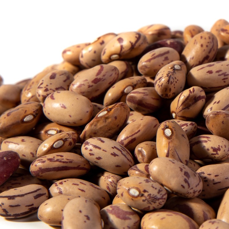 Semillas de haba Borlotto 🌳🌼🌸🌿🌱🍉