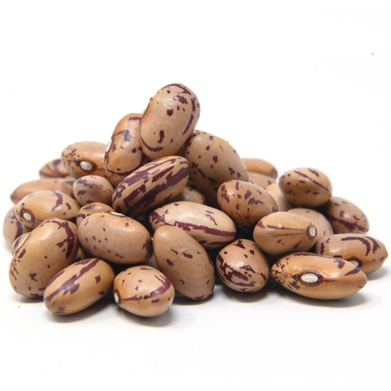 Semillas de haba Borlotto 🌳🌼🌸🌿🌱🍉