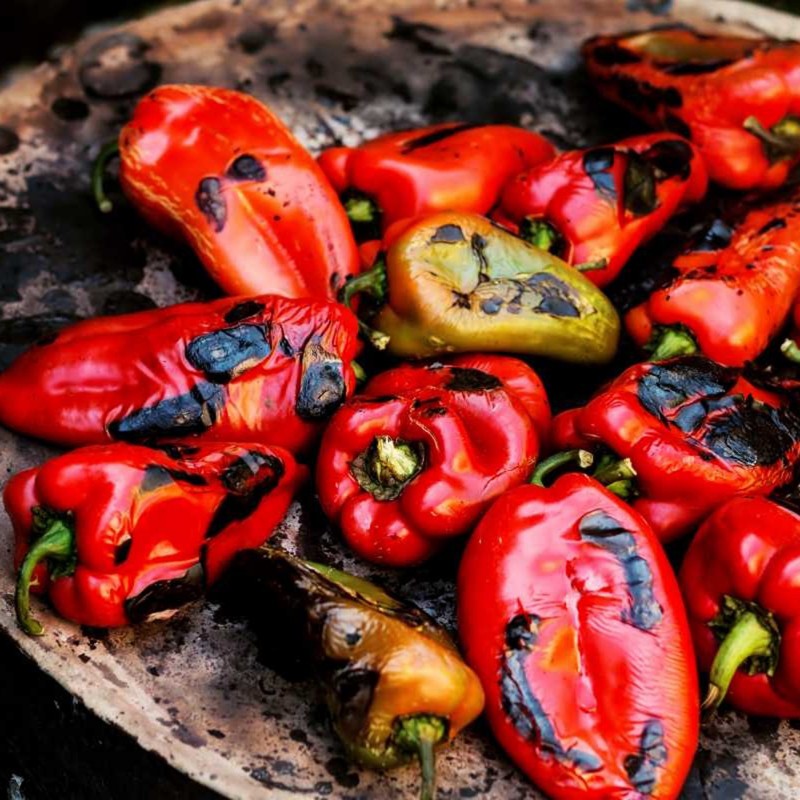 Price: €1.75 - كبير بذور الفلفل الحلو سوبر نوفا - 