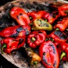 Price: €1.75 - كبير بذور الفلفل الحلو سوبر نوفا - 