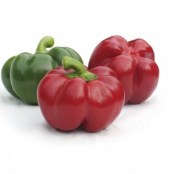 Price: €1.85 - Σπόροι γλυκού πιπεριού - Green Rotund - 