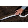 Price: €1.9 - Cinta de Semillas Zanahoria Nantes - 