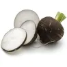 Radish Seeds - Black Spanish Round