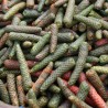 Price: €2.55 - Semillas de Pimienta larga (Piper longum) - 