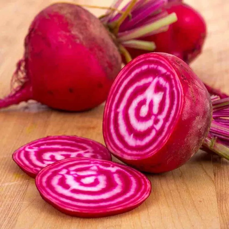 Semillas Remolacha Bicolor Chioggia