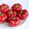 Tomaten Peper Zaden SPLENDID