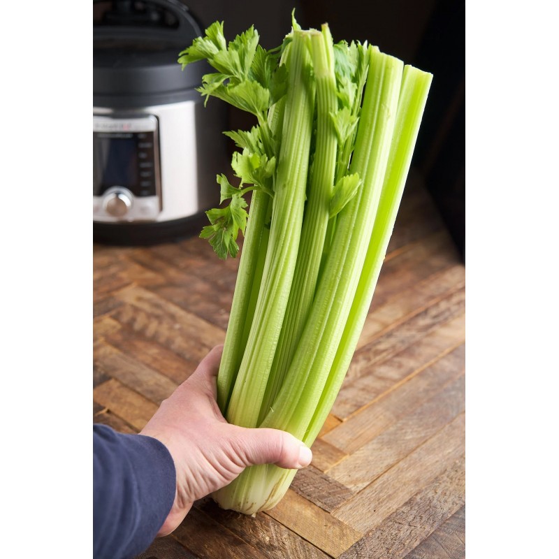 Price: €1.55 - Stangensellerie Sellerie Samen Utah (apium graveolens) - 