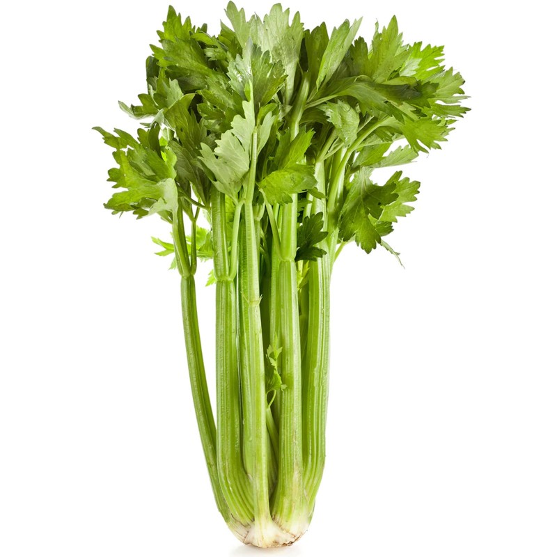 Price: €1.55 - Stangensellerie Sellerie Samen Utah (apium graveolens) - 