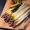 Price: €1.85 - Semi di Asparagus ARGENTEUIL - 