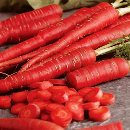 Sementes de Cenoura Vermelha - Atomic Red
