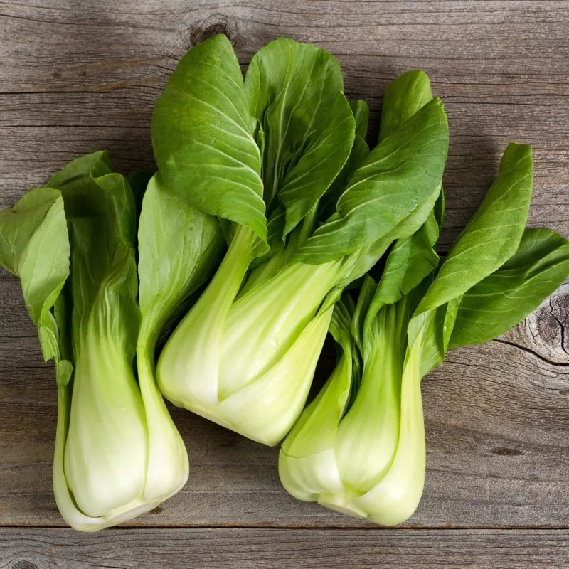 Paksoi of pak-choi zaden