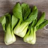 Price: €1.65 - Pak Choi, Pak Choy, Pok Choi Samen - 