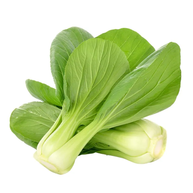 Paksoi of pak-choi zaden