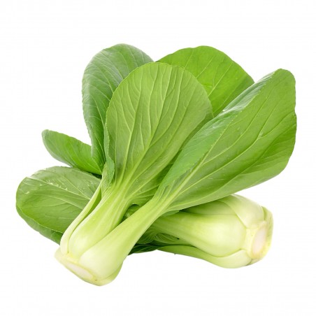 Price: €1.65 - Pak Choi Seme (kineski kupus) -