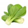 Price: €1.65 - Pak Choi, Pak Choy, Pok Choi Samen - 