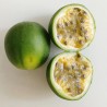 Price: €4.55 - بذور Passiflora cincinnata - 