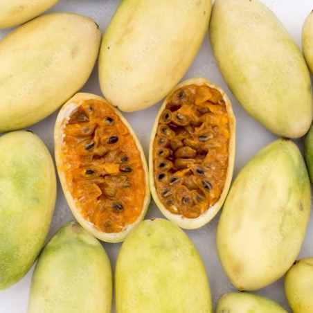 Price: €4.85 - Semi di Passiflora princeps -