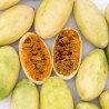 Price: €4.85 - Passiflora princeps Semena - 