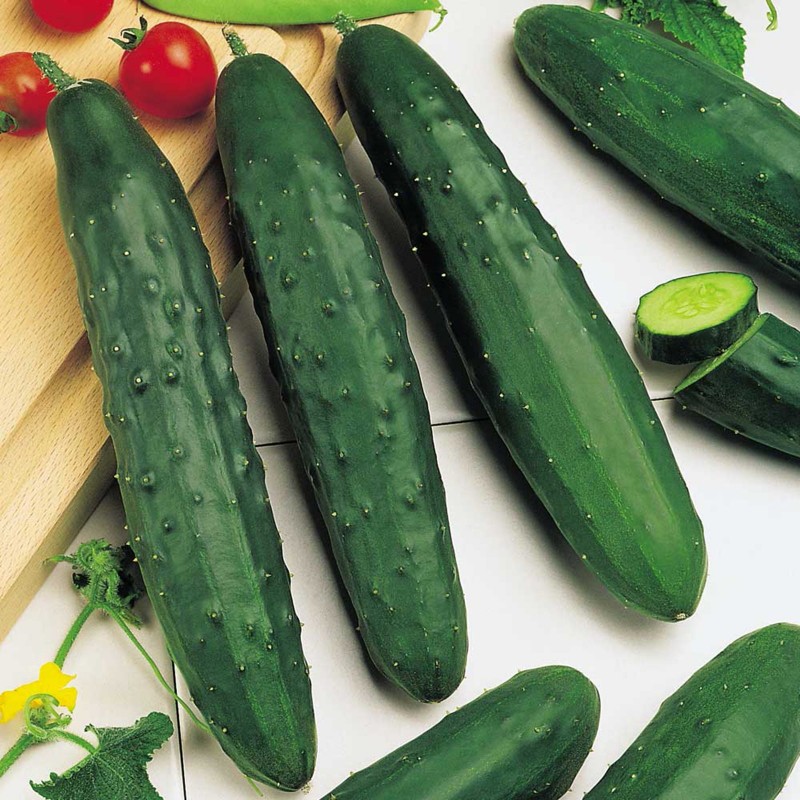 Price: €1.5 - Semena okurky Marketmore - 