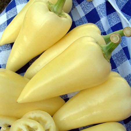 Nasiona węgierskiej papryki słodkiej Tizenegyes