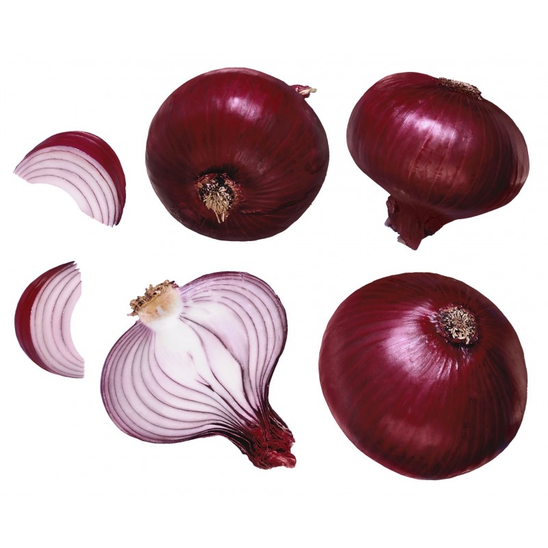 Price: €1.65 - Graines d'oignon rouge de Karmen - 