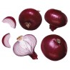Price: €1.65 - Graines d'oignon rouge de Karmen - 